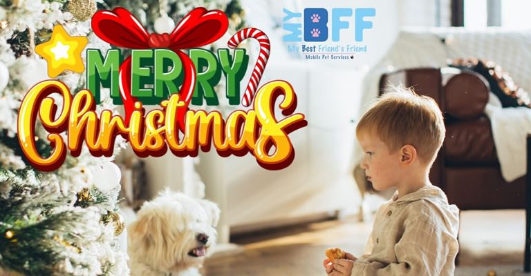 fort-myers-mobile-dog-pet-grooming-services-merry-christmas-mybff