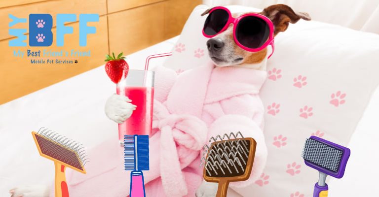 Fort-Myers-Dog-Brushing-Services-Techniques-Mobile-Grooming