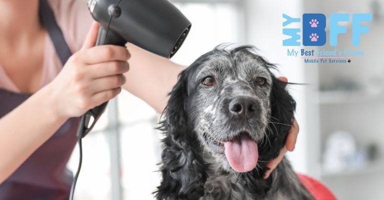 Fort Myers Dog Grooming Blow Drying Services