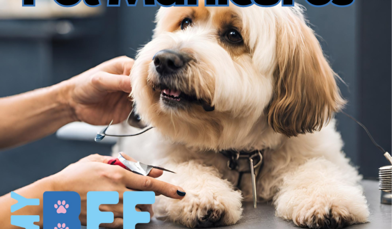 A Look at Pet Manicures_ The Importance of Regular Nail Trims