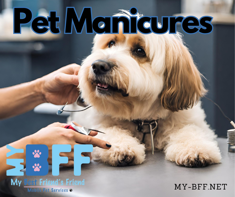 A Look at Pet Manicures_ The Importance of Regular Nail Trims