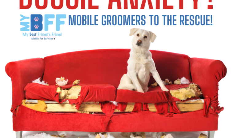 My BFF Groomer Avoid Grooming Stress: Mobile Grooming Can Help Reassure Your Anxious Pet