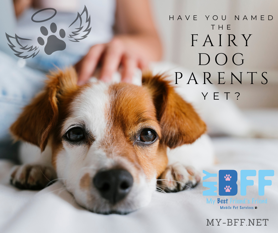 Fairy Dog parents My-BFF