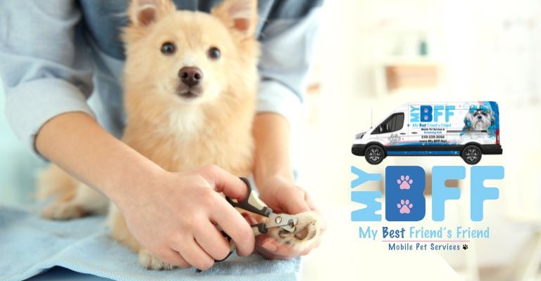 Fort Myers Dog Nail Trimming Services