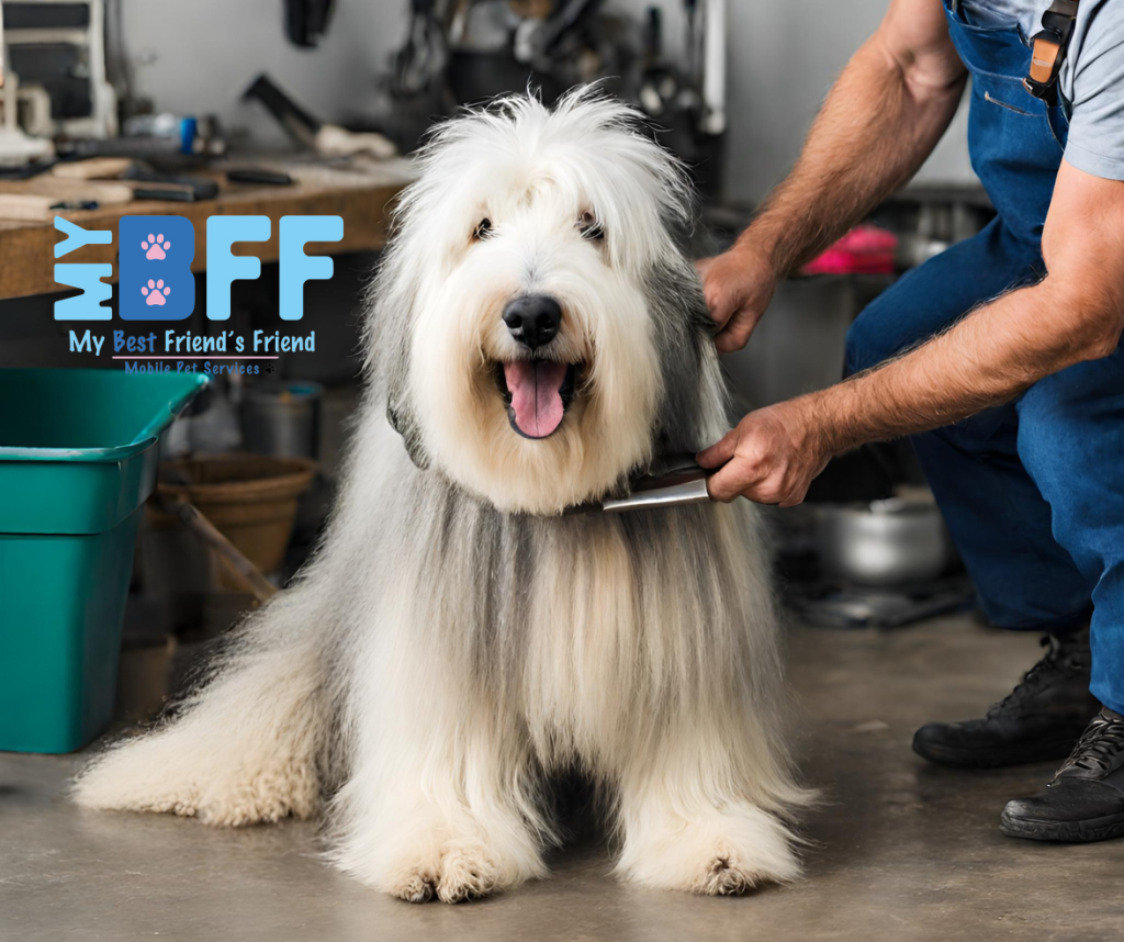 got an itchy pet? Grooming might be the answer my bff mobile groomer ft myers