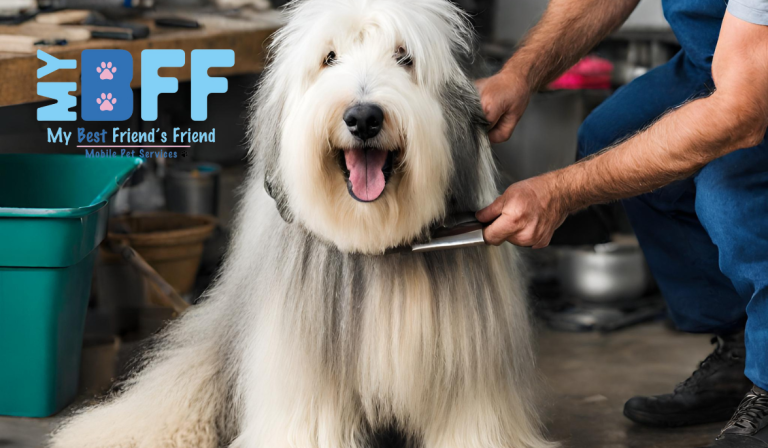 got an itchy pet? Grooming might be the answer my bff mobile groomer ft myers