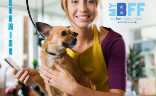 Mobile Grooming in Fort Myers, Florida - We Bring the Doggie Salon to Your Door