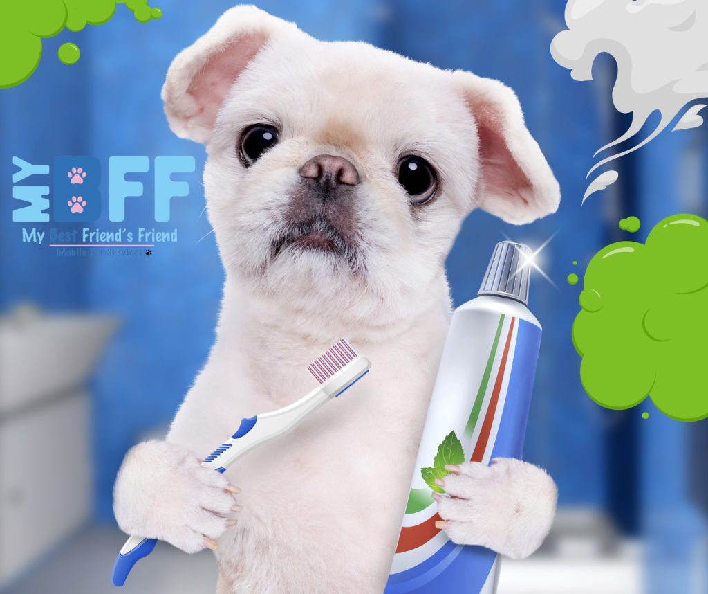 Doggie bad breath tooth brushing mobile groomer ft myers