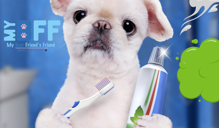 Doggie bad breath tooth brushing mobile groomer ft myers