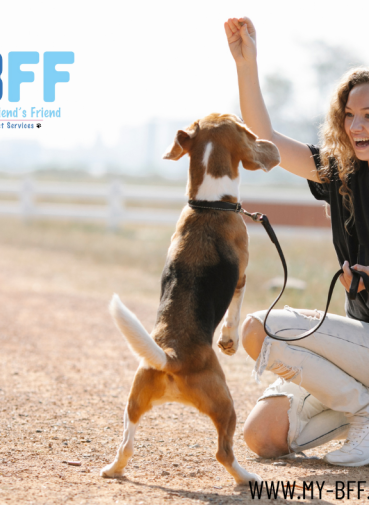 Dog body language human animal communication (1) My BFF Pet Services