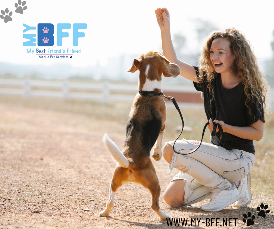 Dog body language human animal communication (1) My BFF Pet Services