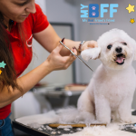 Why Summer Trims Are So Important for Pet Health in Southwest Florida