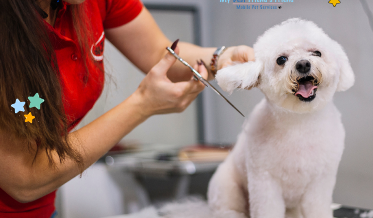 Mobile groomer ft myers My-BFF my bff pet services