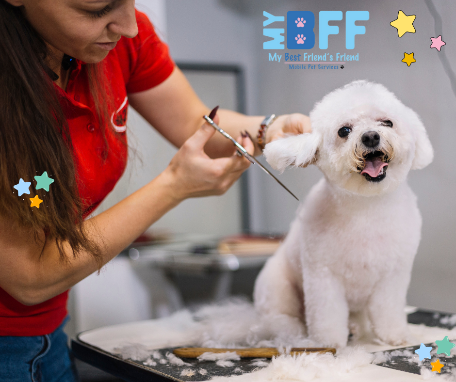 Mobile groomer ft myers My-BFF my bff pet services