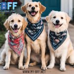 Fort Myers Mobile Grooming Makes Caring for Your Pet Easier Than Ever Before