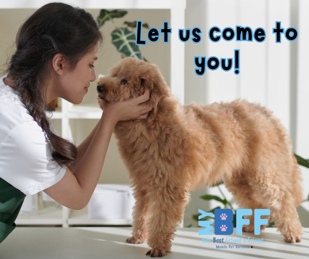 Mobile grooming south west florida cape coral naples ft myers My BFF Pet services