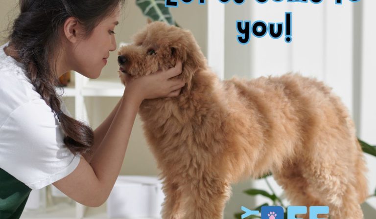 Mobile grooming south west florida cape coral naples ft myers My BFF Pet services